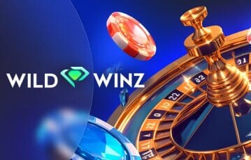 Wild Winz: Pros and Cons