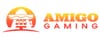 Amigo Gaming