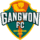 Gangwon logo