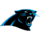 Panthers logo