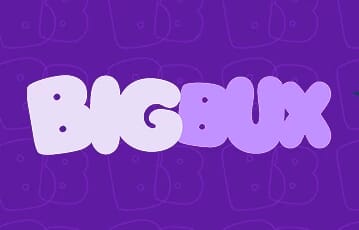 BigBux: Pros and Cons