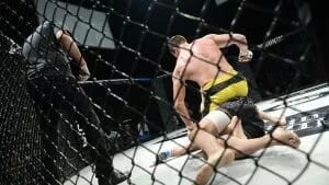UFC Betting Sites