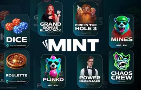 Mint.io image