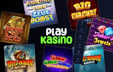 Playkasino image