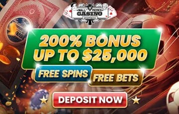 WSM Casino image