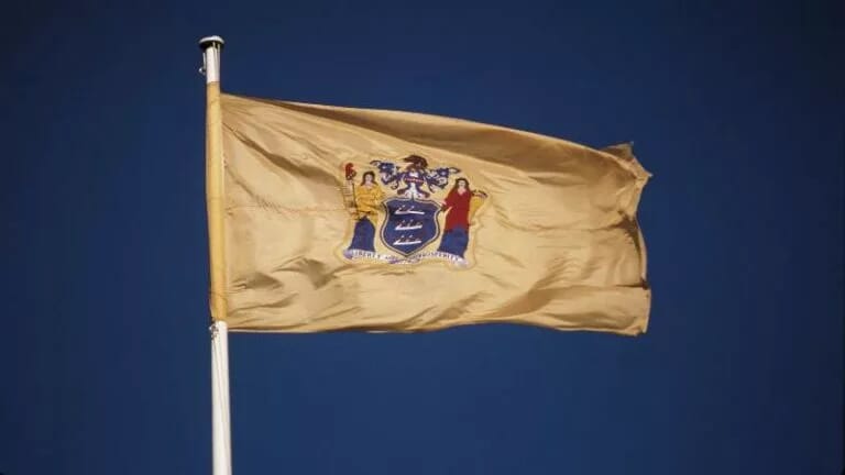 new-jersey-flag