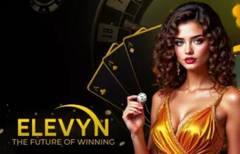 PlayElevyn image