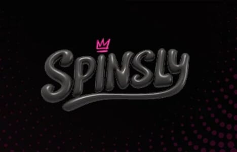 Spinsly image