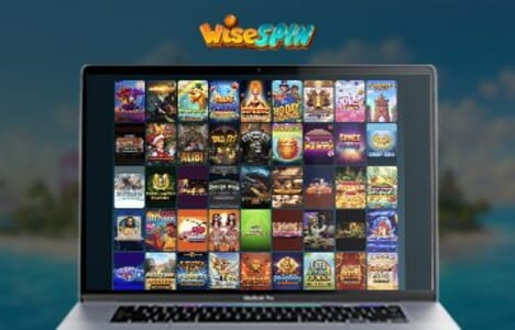 WiseSpin image