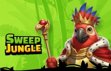 Sweep Jungle image