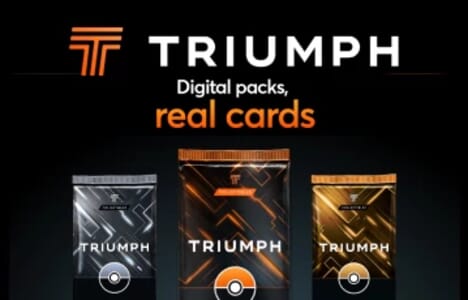 Rips by Triumph image