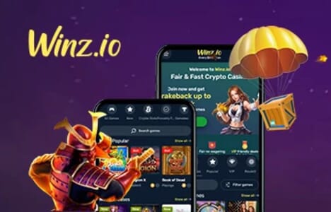 Winz.io image