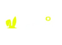 JackpotRabbit