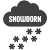 Snowborn Online Casino