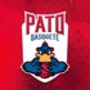 Pato Basquete Logo