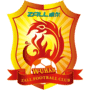 Wuhan FC logo
