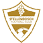 Stellenbosch FC logo