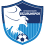 Erzurum logo