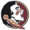 Florida State logo