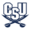 Charleston Southern logo