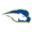 Hofstra logo