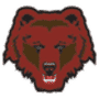 Brown Bears logo