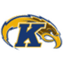 Kent State Golden Flashes logo