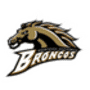 Western Michigan logo