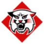 Davidson Wildcats logo