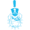 Citadel logo