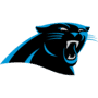 Panthers Logo