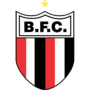 Botafogo-SP Logo