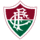 Fluminense logo