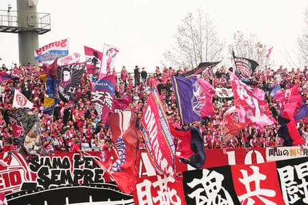 Fagiano Okayama vs Albirex Niigata prediction